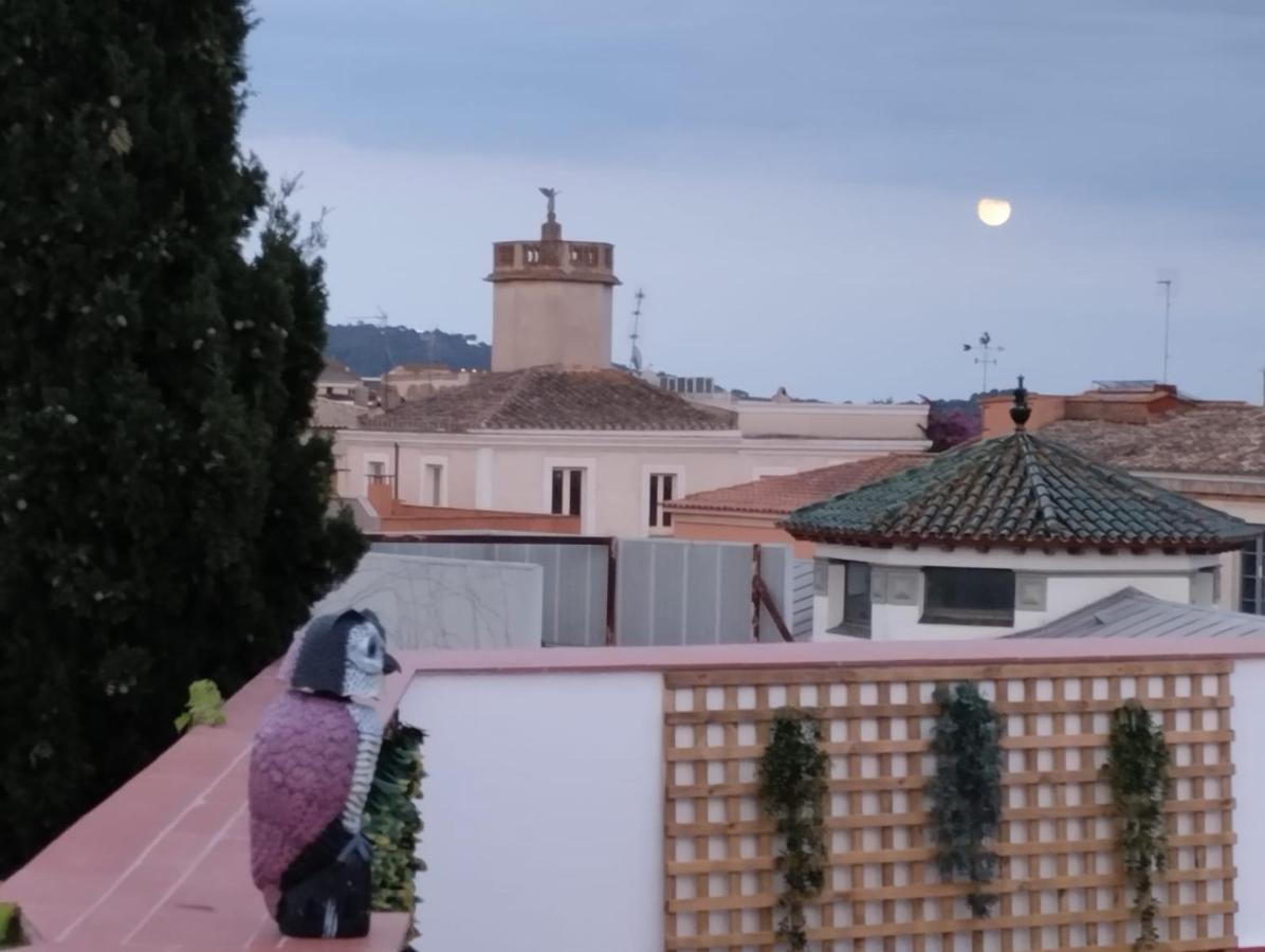 Apartaments L'Arc Palafrugell Exterior photo